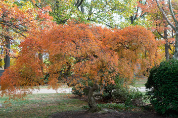 Beautiful Rest on a Fall Day