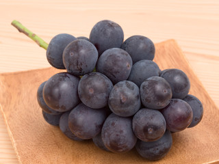 ブドウ　ニューピオーネ