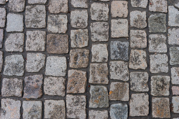 Wet cobblestone in stockholm