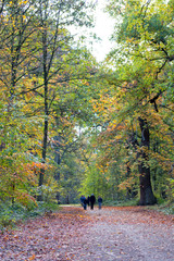 People (family, friends, parent, adult, child, father, relationship, mother, son, women, girl, group, love, couple, together, man, woman, young, person) outdoors in countryside enjoying leisure 