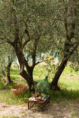 Romantic picnic under olive tree. Delicious italian meal served on a wooden table. Baskets with food, branches in glass jar. Sunny autumn day. Italy, Tuscany