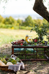 Romantic picnic under olive tree. Delicious italian meal served on a wooden table. Baskets with food, branches in glass jar. Sunny autumn day. Italy, Tuscany