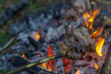 Pork meat on a wooden peg is fried on a bonfire over burning coals.