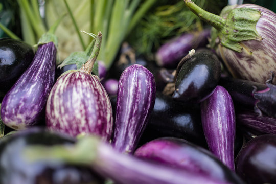 Eggplant