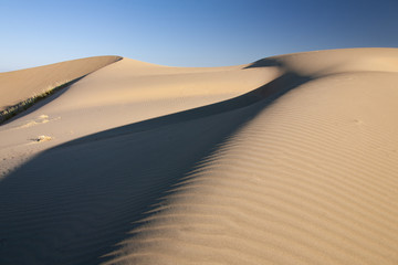Fototapeta na wymiar Gobi Desert Singing Sand Dunes