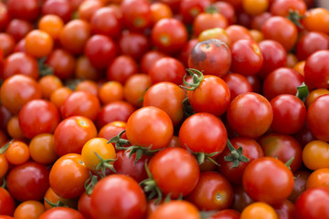 Tomatos