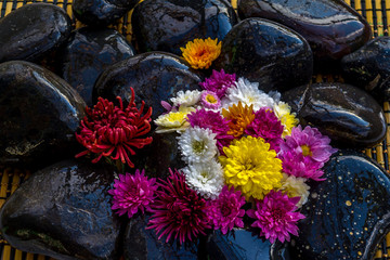 Black stones and flowers