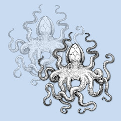 Mystical octopus drawing. Gigantic mollusk illustration. Handmade drawing.