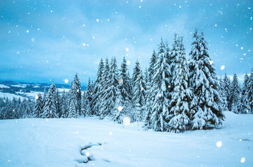 Fototapeta premium Beautiful winter landscape with snow on the trees