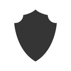 Shield icon - vector.