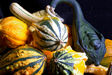 ornamental gourds on a black background