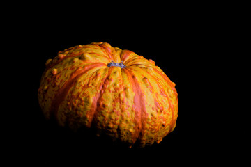 pumpkin on black background