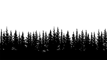 silhouette of fir trees, forest landscape. On white background