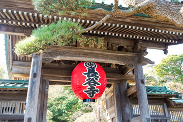 (神奈川県ｰ風景)鎌倉長谷寺の山門１