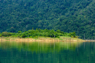 Beautiful image of rain-forest with reflection in water at Royal Belum State Park, Gerik Perak Malaysia.
