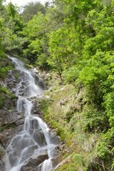 Fototapeta na wymiar 小渋の滝