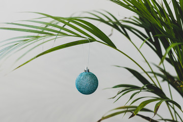 alternative Christmas tree palm plant with Christmas baubles for the festive season in summer for...