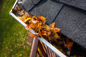 Autumn leaves  clogging a rain gutter on a roof © soupstock
