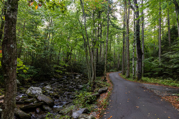 Great Smoky Mountains National Park