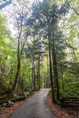 Obraz premium Great Smoky Mountains National Park