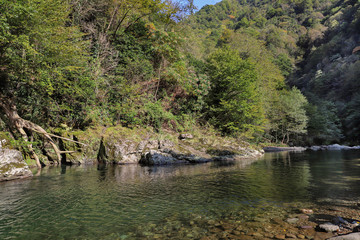 Fototapeta na wymiar Georgia. Mountains and rivers of wildlife. The beauty and wealth of Georgia is forests and rivers.