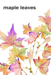 Beautiful flowers and leaves painted