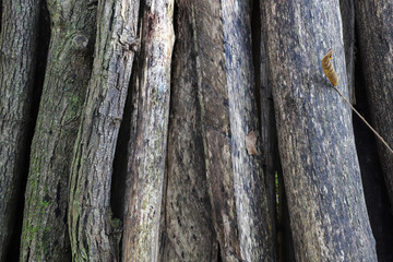 Wooden bars background