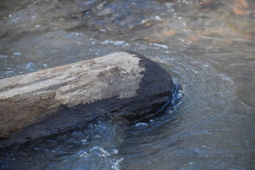 The Spread Of Nature