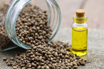 Hemp seeds and hemp oil on brown wooden table. CBD hemp oil.