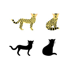 Baby leopard in flat style, silhouettes, vector illustration.