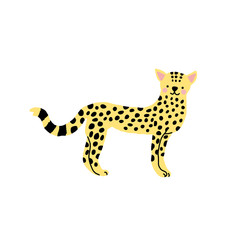 Baby leopard, vector illustration on white.