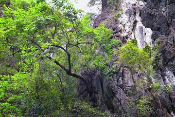 Island, Ocean views near Phuket Thailand with Blues, Turquoise and Greens oceans, mountains, boats, caves, trees resort island of phuket Thailand. Including Phi Phi, Ko Rang Yai, Ko Li Pe and other is