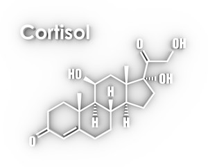 Chemical molecular formula hormone cortisol. Infographics illustration. 3D rendering