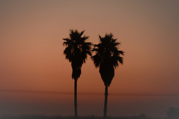 sunset on the beach