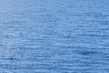 日本国沖縄の夏の海