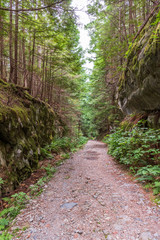 Obraz premium Mountain Trail in British Columbia, Canada. Mountains Background.