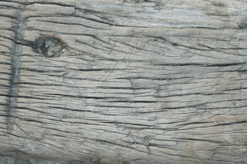 Close up wood texture