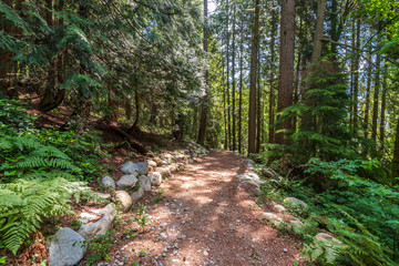 Mountain Trail in British Columbia, Canada. Mountains Background.
