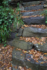 Georgia. Mountains and rivers of wildlife. The beauty and wealth of Georgia is forests and rivers.