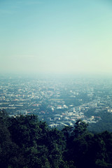 tree on the mountain at sunset sky cloud light sun landscape with view city skyscape background