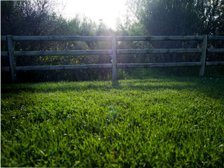 European Monuments Park