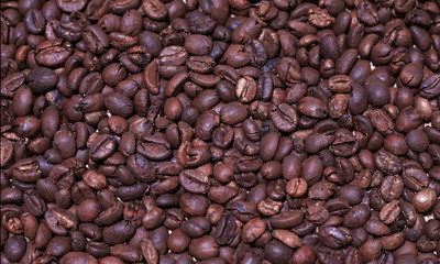 roasted coffee beans background