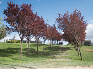 European Monuments Park