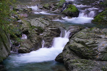 Naklejka premium 清流 黒滝川