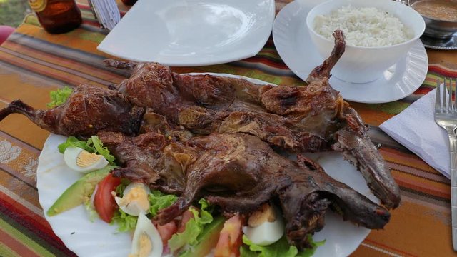 Cuy, Guinea pig served on a plate as a traditional food delicacy in South America