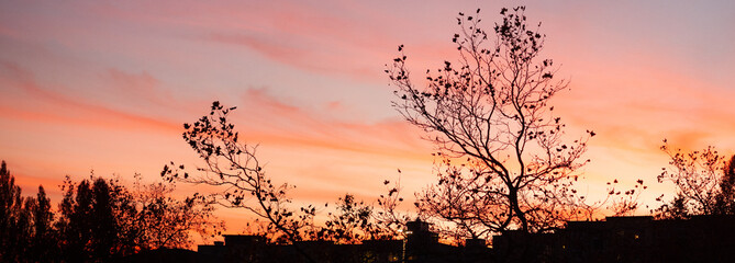 Obraz na płótnie Canvas Colorful Sunset Skyline in Autumn in Washington