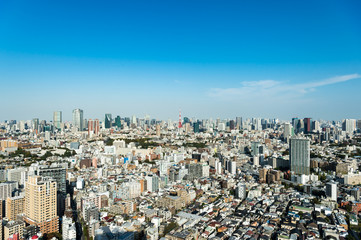 東京都渋谷区恵比寿から見た東京の景色