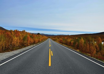 Norway road 