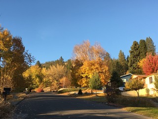 Obraz premium Fall Softly