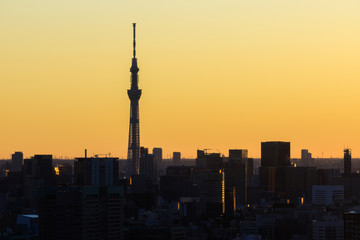 Tokyo skyline at sunrise